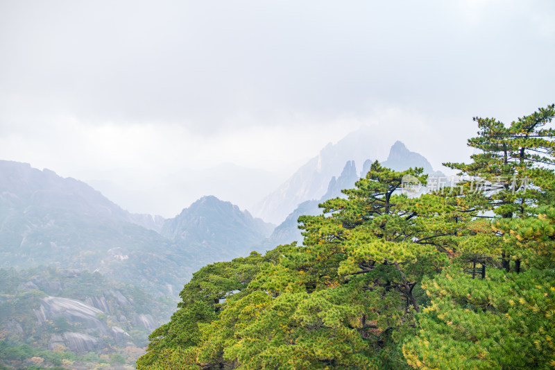 安徽黄山美丽场景