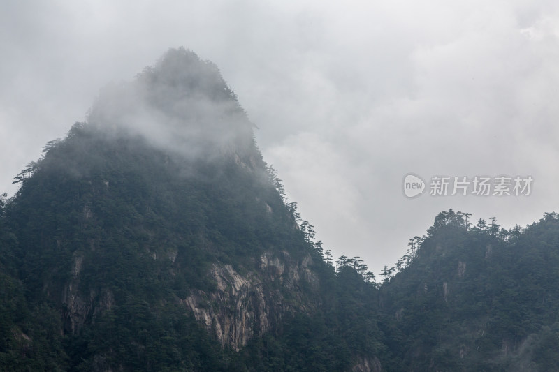 云海中的大明山