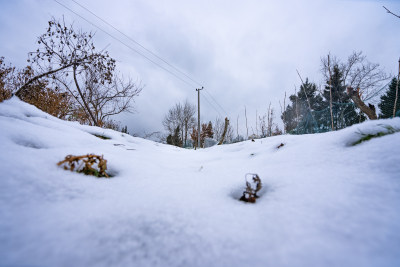 冬季白雪覆盖了大地