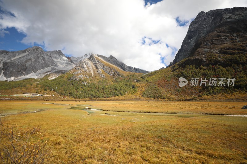 中国四川甘孜稻城亚丁洛绒牛场秋景