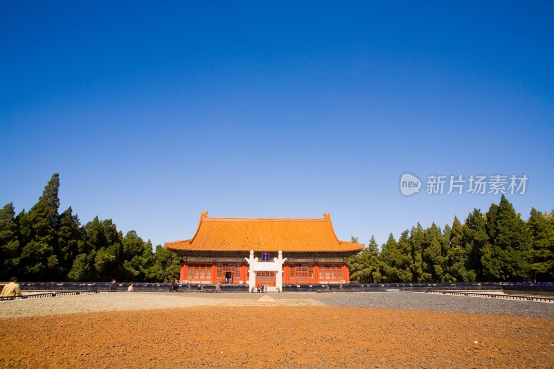 北京,中山公园,菊花