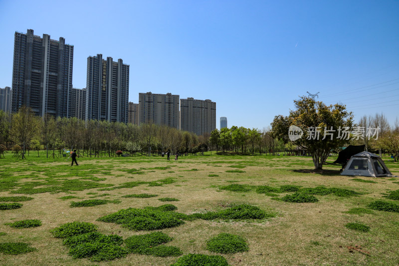 晴朗空旷的武汉府河郊野公园