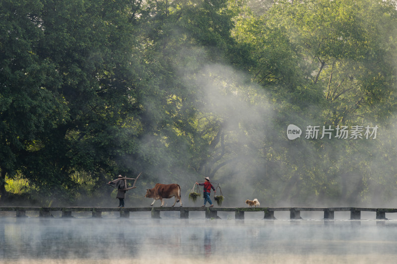 丽水缙云仙都风景区村庄日出航拍