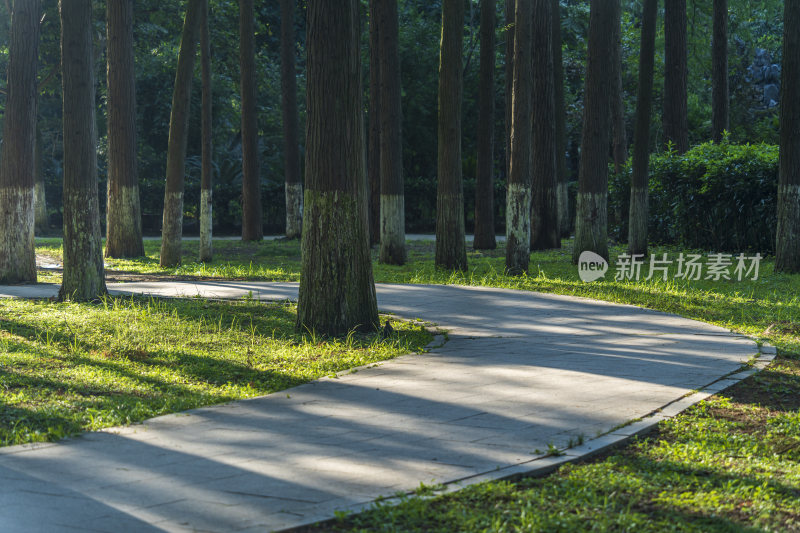 武汉江岸区解放公园风景