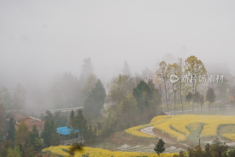 陕西汉中凤堰古梯田