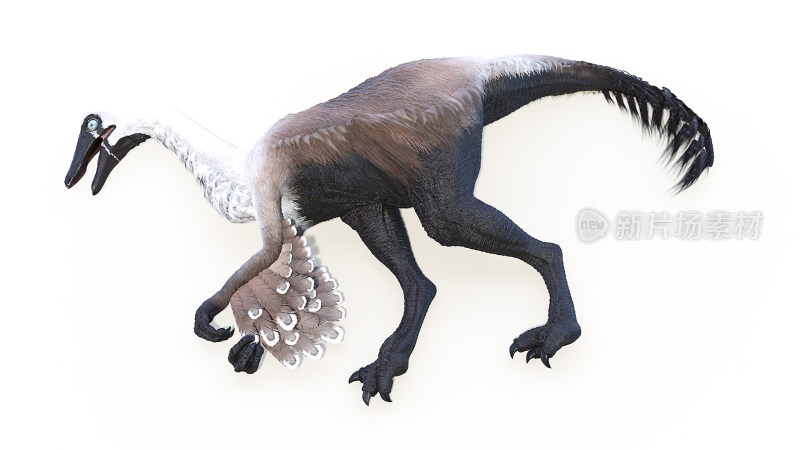 远古恐龙 侏罗纪白垩纪三叠纪大型食肉恐龙
