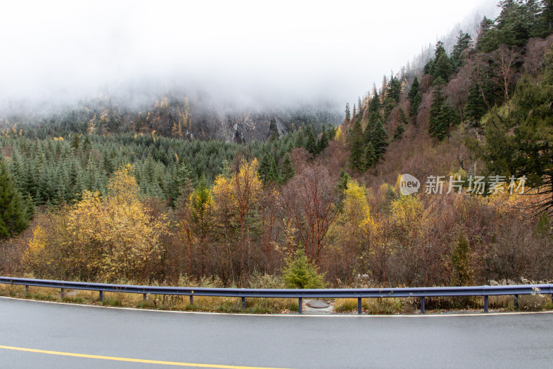 九寨沟秋色，雾中山林公路