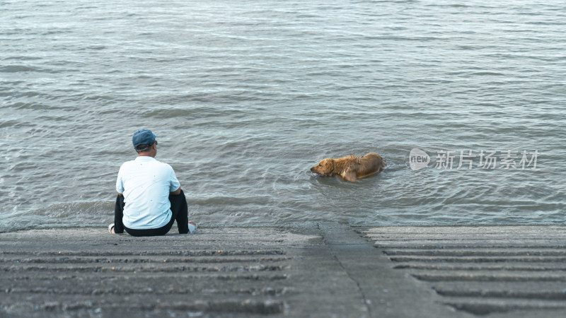 男子坐水边看金毛犬在水中嬉戏