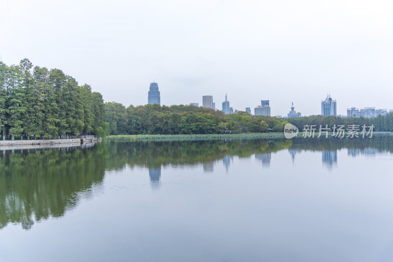 武汉东湖国家湿地公园风光