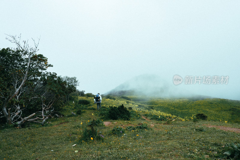 薄雾九顶山户外旅行风景