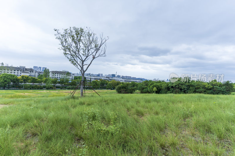 武汉江夏区二妃生物公园风景