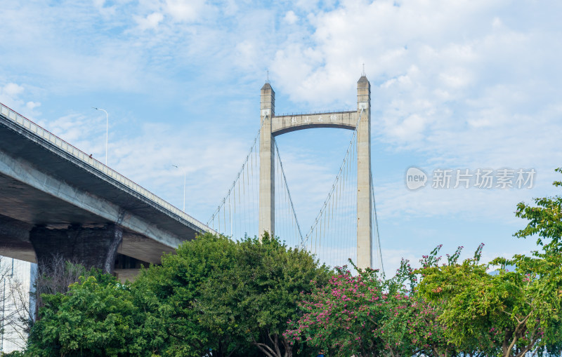 城市高架桥与绿植景观