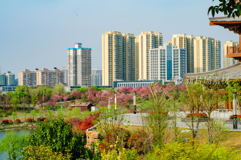 春天的渭南南湖公园湖上风景