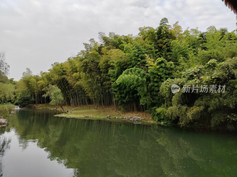 水边竹林环绕的自然风景