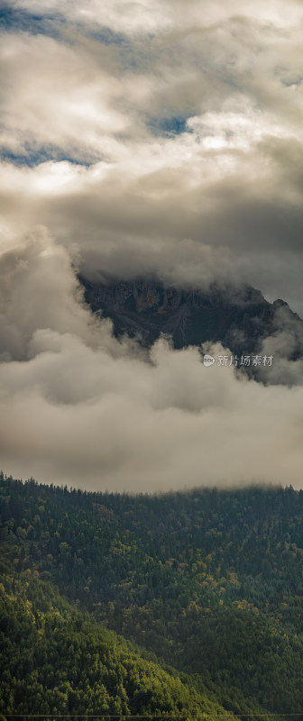 云雾中的森林山峰虎头山