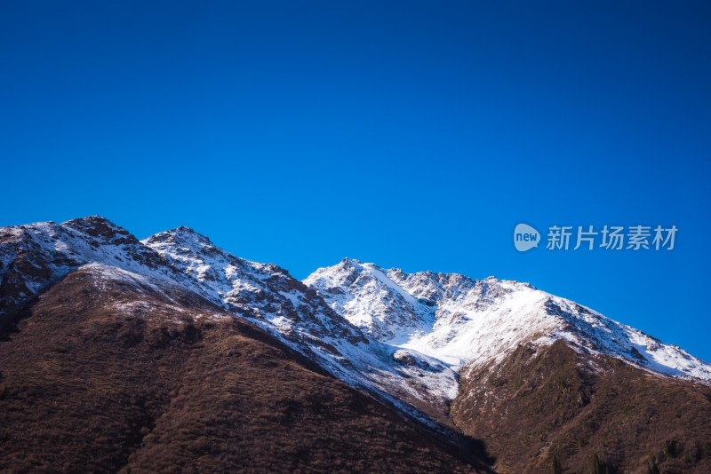 新疆天山山脉秋天雪山牧场风景