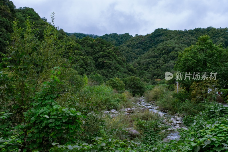 汉中留坝火烧店镇秦岭深处的山中小溪