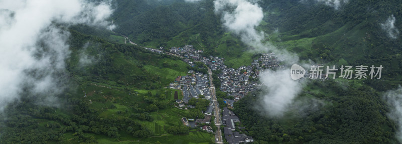 杭州西湖龙井产地梅家坞云雾茶园