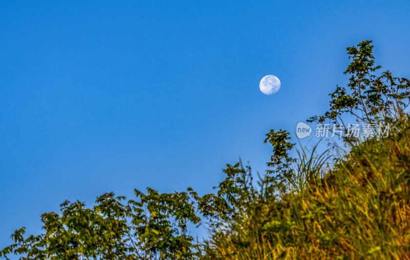 重庆酉阳：万木初秋风景（二）