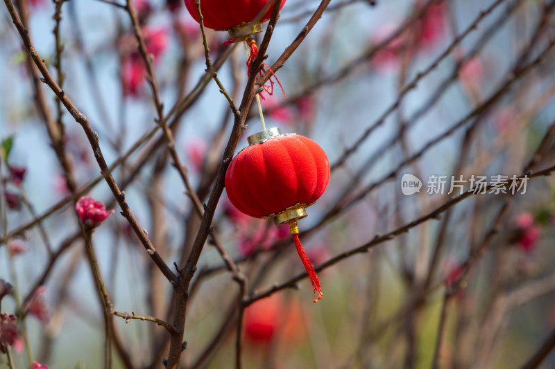 春节新年树挂着一排排红色的小灯笼