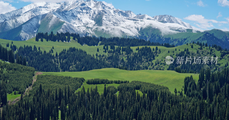航拍草原雪山风景自然风光