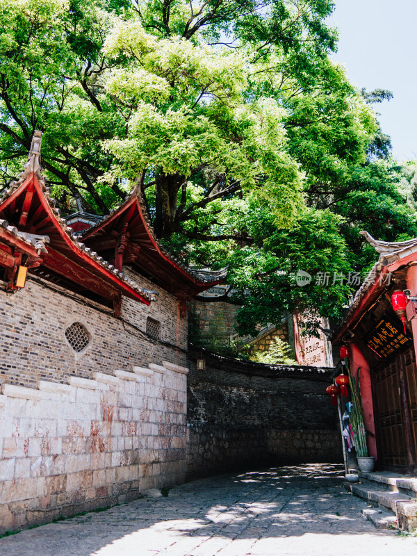 丽江古城白马龙潭寺