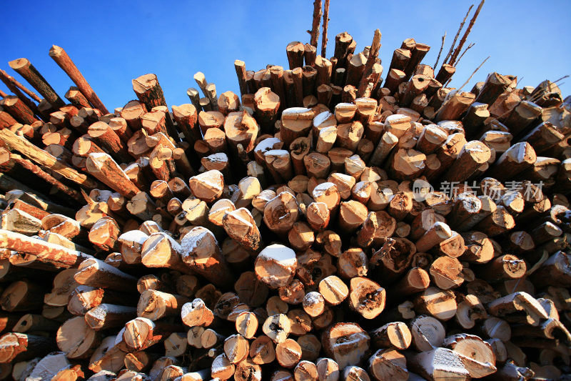 大兴安岭贮木场堆积的木材
