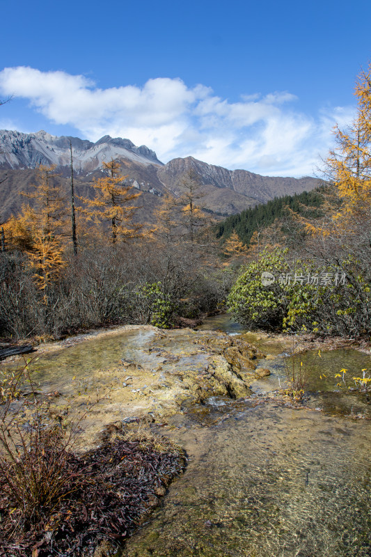 四川阿坝黄龙景区秋日山林流水