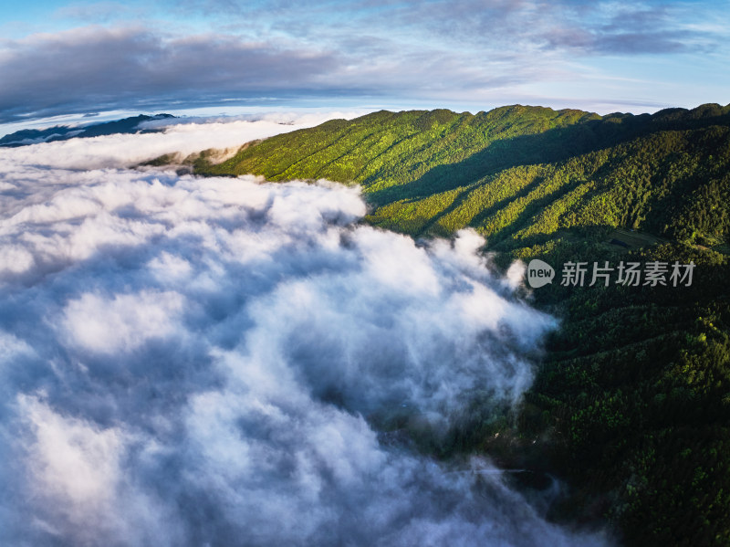 清晨的云海