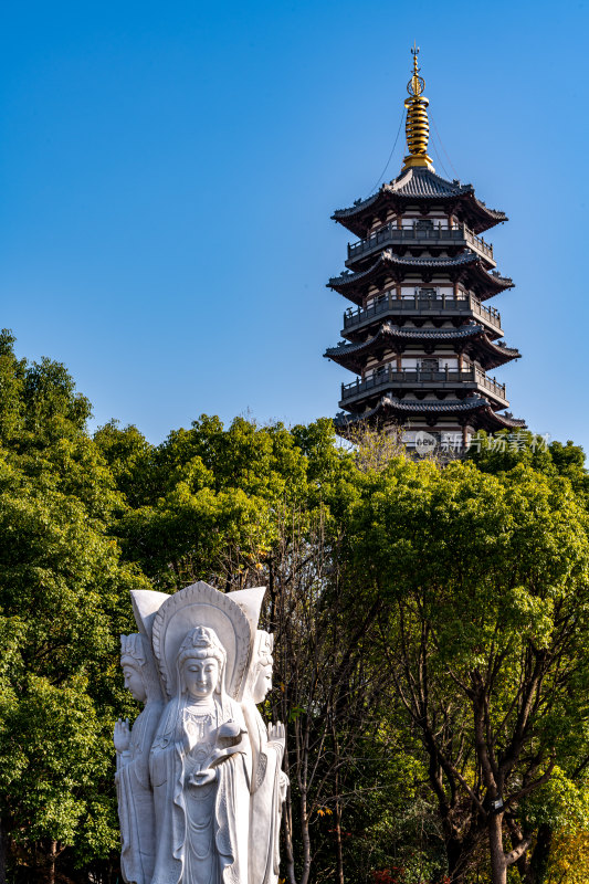 银杏树下的上海嘉定安亭老街菩提寺秋色景观