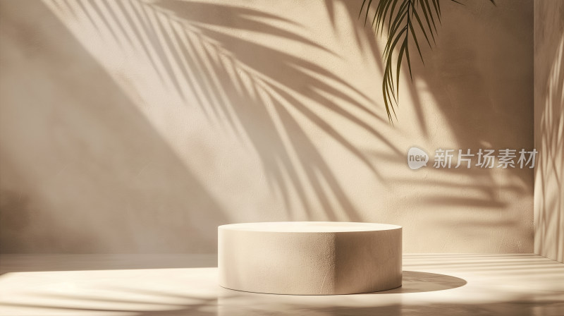 极简主义风格：棕榈影与水泥座的和谐之美