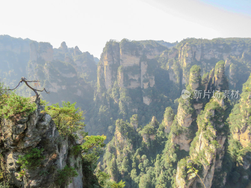 中国湖南张家界国家森林公园旅游风光