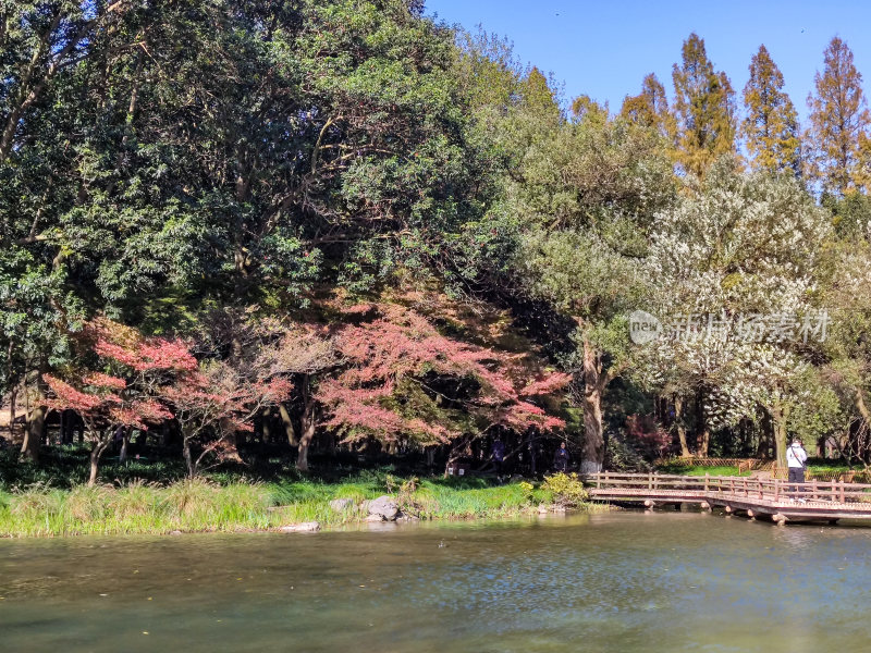 杭州西湖太子湾公园