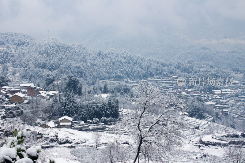 雪后的云和梯田风景