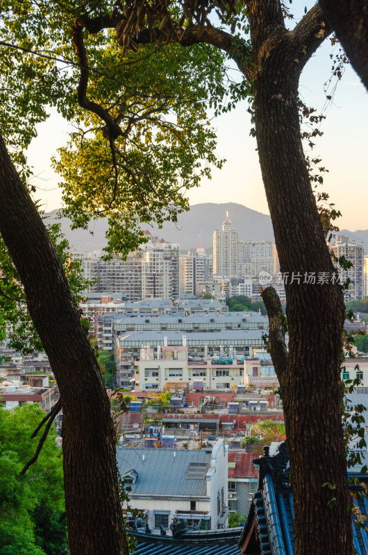 福州乌山上框式构图的城市风光