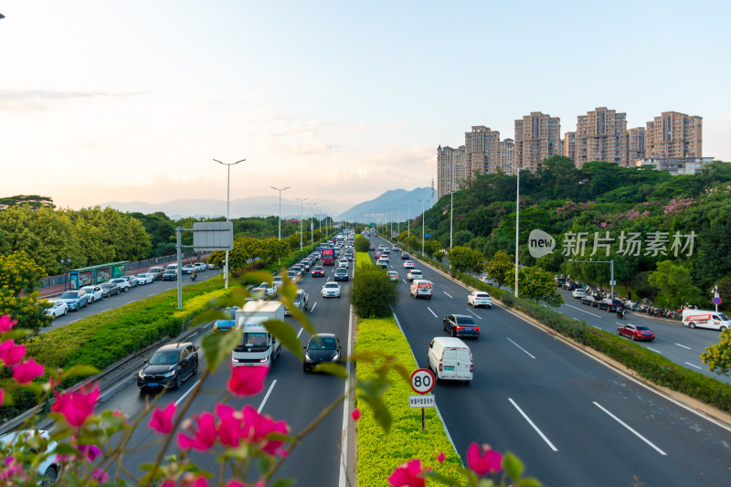 城市高速公路车流景象