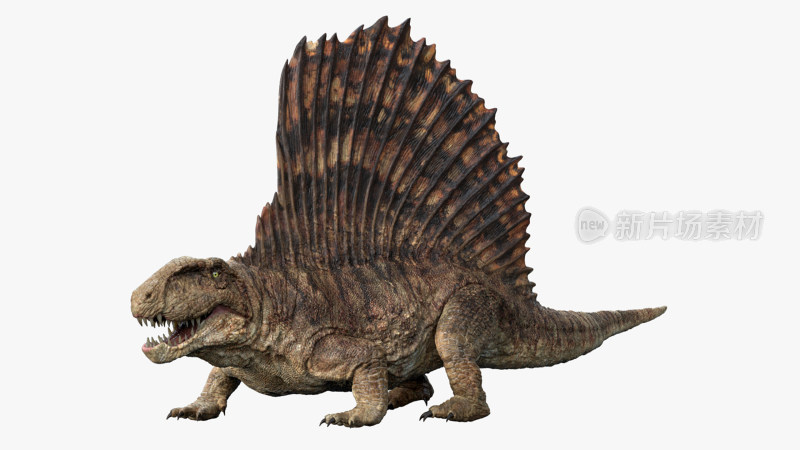 异齿龙 恐龙 侏罗纪 恐龙时代