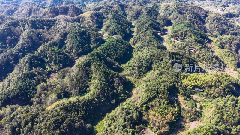 绿色植物森林丘陵航拍图