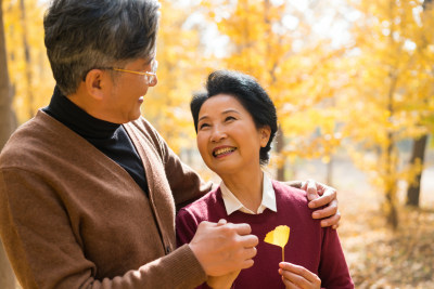 在银杏林散步的老年夫妻