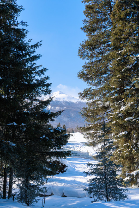 新疆喀纳斯雪景神仙湾冰河晨雾雪山森林雾凇