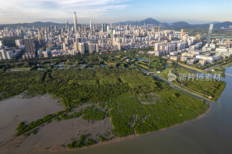 深圳市福田红树林生态公园