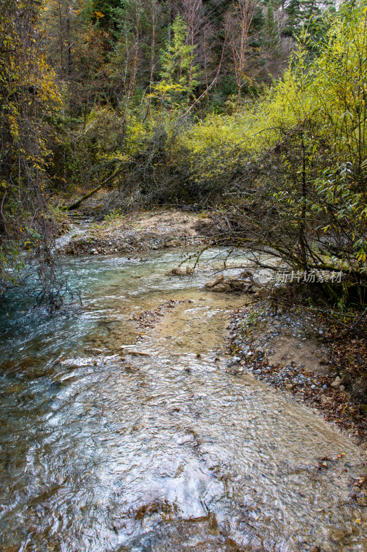 九寨沟秋日山涧溪流