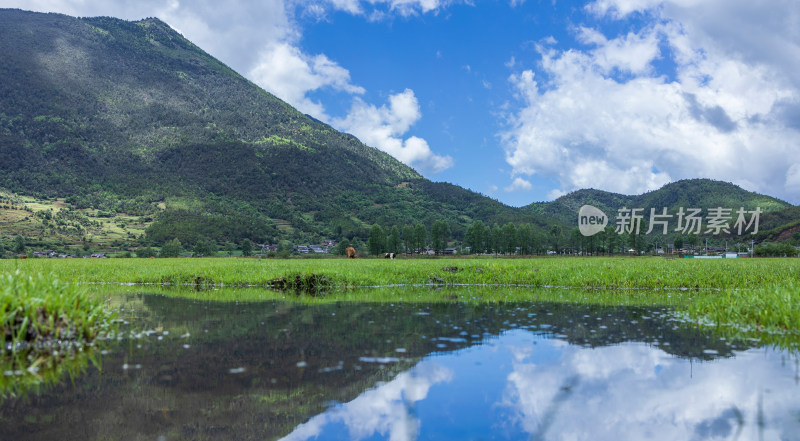 文海丽江风景