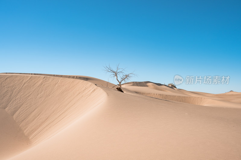 沙漠无人区荒漠黄昏荒凉戈壁