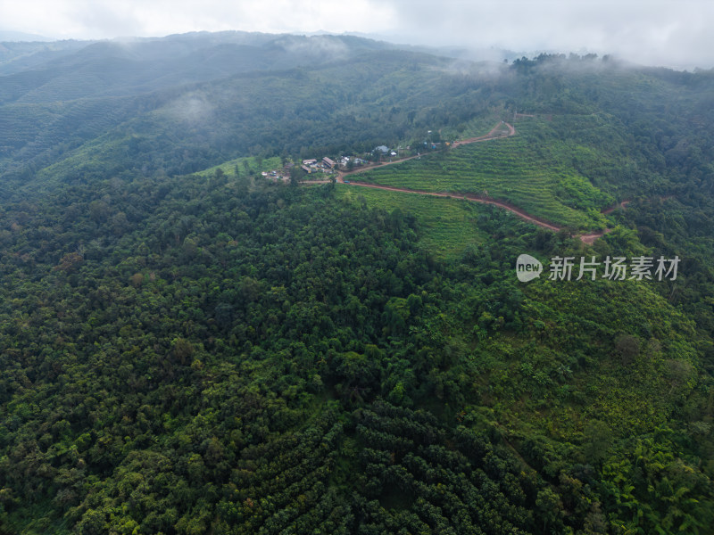 航拍绿意盎然的山脉和茂密森林