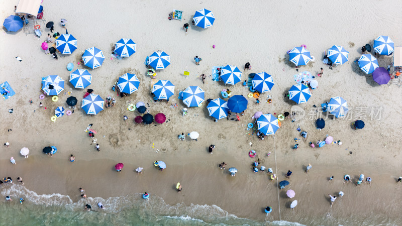 海上滑板冲浪