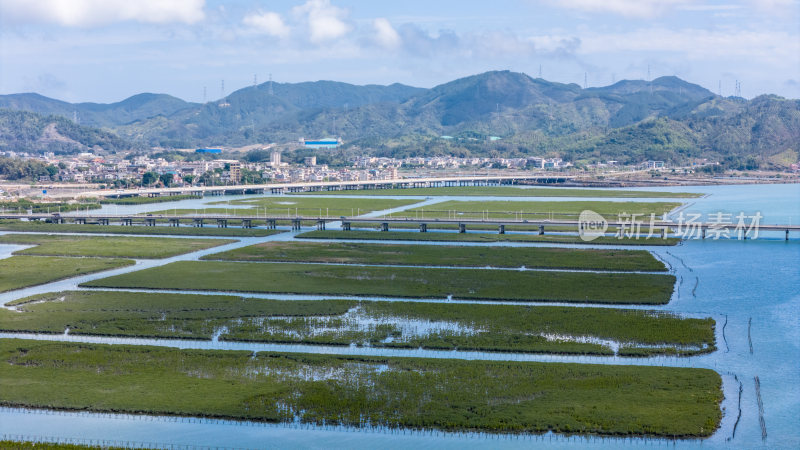 惠州盐洲海洋湿地公园-红树林湿地风光