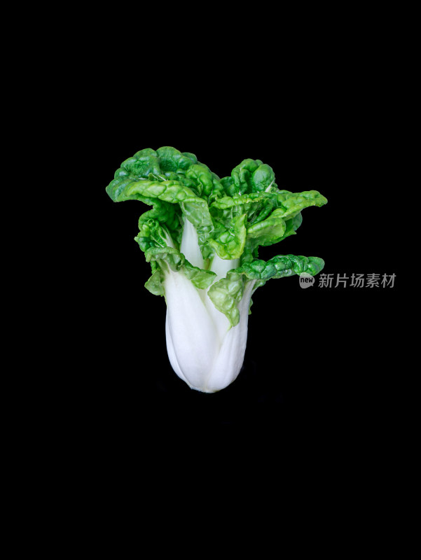 黑色背景上，一颗绿色蔬菜的特写