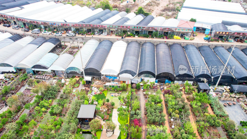 云南昆明鲜花种植基地航拍图