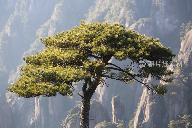 绝景在三清